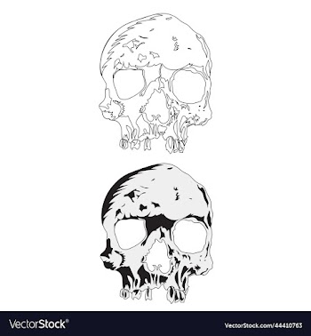 skull