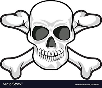 Skull and crossbones icon vector image