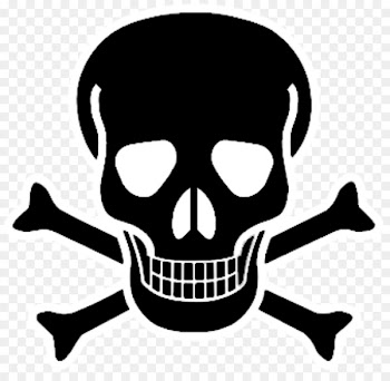 Skull and crossbones Red Skull Skull and Bones - skull 