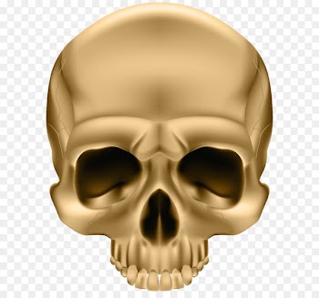 Skull and crossbones Sticker Illustration - Golden Skull PNG Clip Art Image 