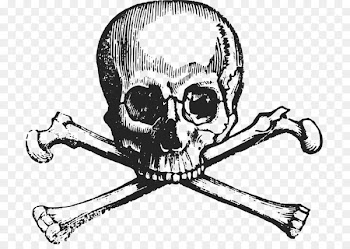 Skull and crossbones stock.xchng Image Drawing - skull 
