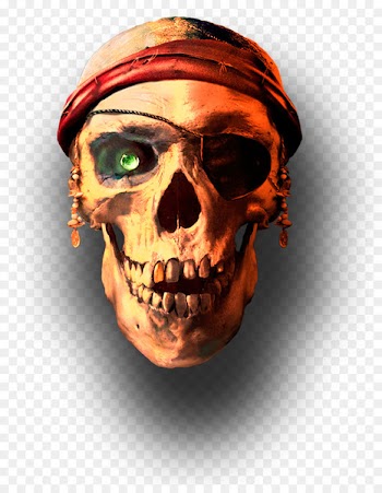 Skull APUS Group Jolly Roger - Pirate Skull 