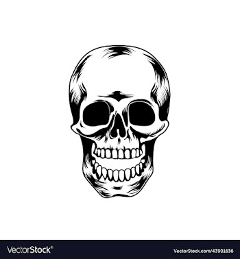 skull art graphics and