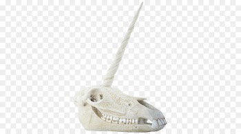 Skull Bone Human skeleton Horn - skull 