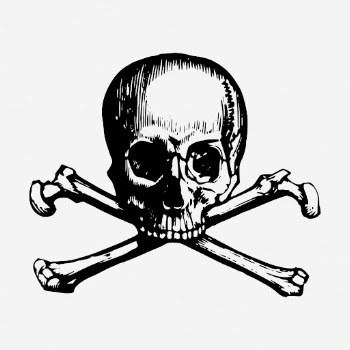 Skull & bones, death hand | Free Photo - rawpixel