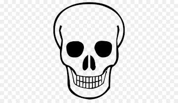 Skull Calavera Clip art - Skull PNG image 