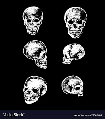 Skull chalkboard halloween vector image