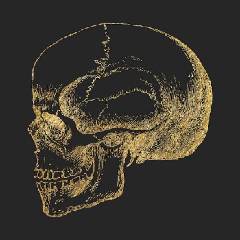 Skull clipart, gold aesthetic goth | Free PSD Illustration - rawpixel