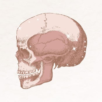 Skull collage element, aesthetic sparkly | Free Vector Illustration - rawpixel