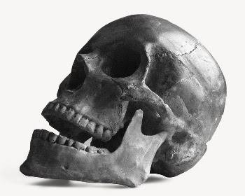 Skull collage element, Halloween design | Free PSD - rawpixel
