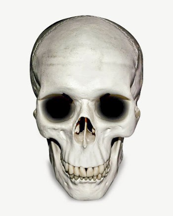Skull collage element, isolated image | Free PSD - rawpixel
