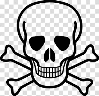 Skull Crossbones Png (104+ images in Collection) Page 1
