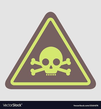 Skull danger road sign vector image