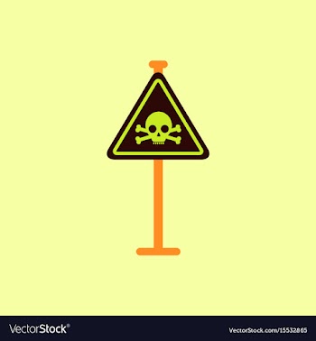 Skull danger road sign vector image