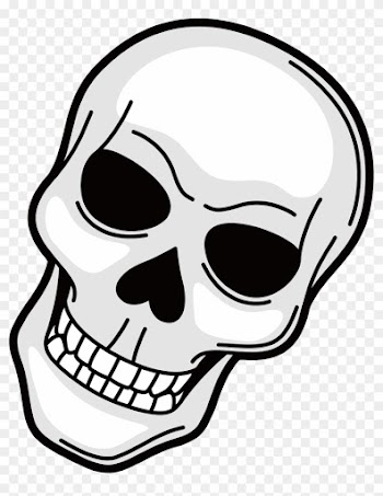 Skull Drawing Clip Art - Skull Vector Png