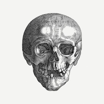 Skull drawing clipart, black and | Free PSD - rawpixel
