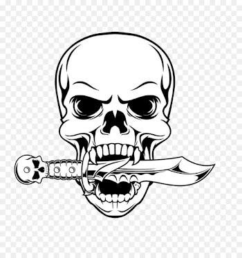 Skull Drawing Illustration - Skull 