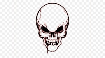Skull Euclidean vector Clip art - Skull 