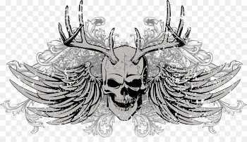Skull Euclidean vector Download - Skull 