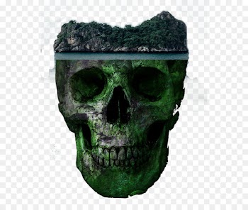 Skull Euclidean vector - Horror skull 