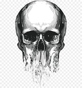 Skull Euclidean vector - Skull 