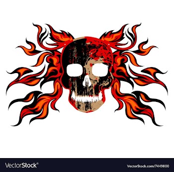 Skull fire vector image
