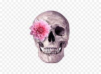 Skull Flower Skeleton Printing - Flowers skeleton head 