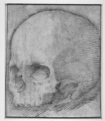 Skull | Free Photo - rawpixel