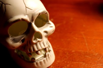 Skull_h.jpg