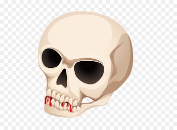 Skull - Halloween Skull 