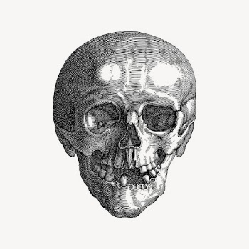 Skull hand drawn clipart, evil | Free Vector Illustration - rawpixel