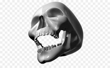 Skull Head - Skull 