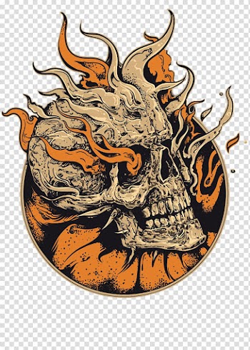 Skull illustration, Human skull symbolism Skull art Illustration, Flame Skeleton transparent background PNG clipart