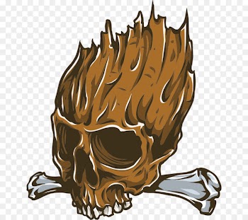 Skull Illustration Vector graphics Image Flame - skull 
