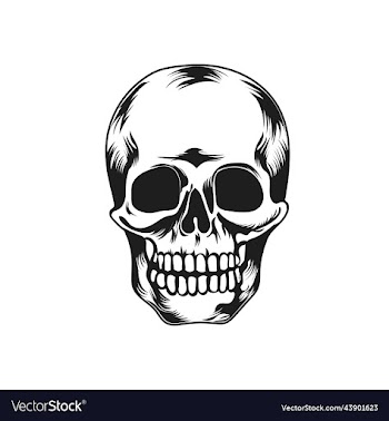 skull image art and
