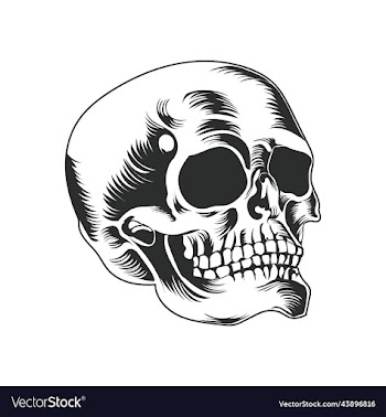 skull image art icon and graphics