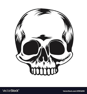 skull image art icon and graphics
