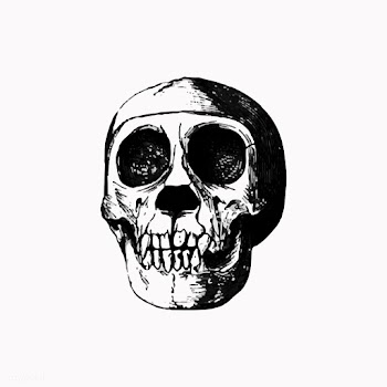 Skull in vintage style | Free stock vector - 561125