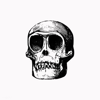 Skull in vintage style | Free stock vector - 561249