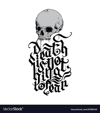 Skull-nofear-halloween vector image