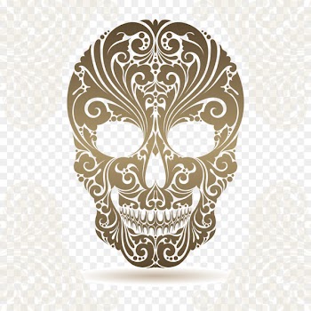 Skull Ornament Illustration - Decorative transparent skeleton luminescent material Vector 