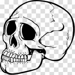 Skull Png Image