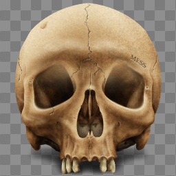 Skull Png Image