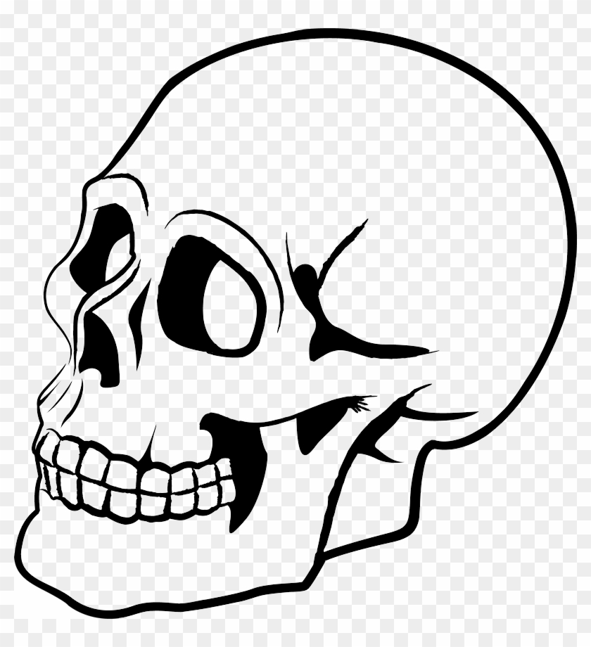 Skull Png - Skull Vector Png