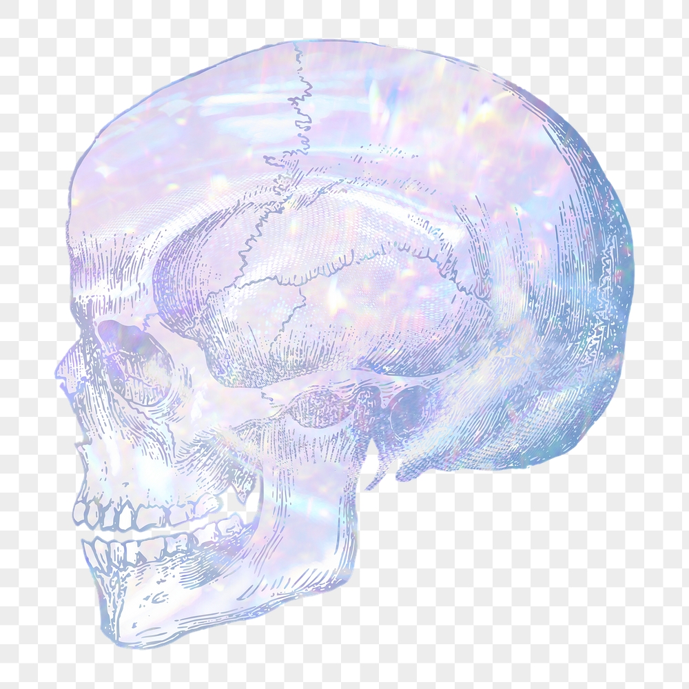 Skull png sticker, aesthetic holographic | Free PNG Illustration - rawpixel