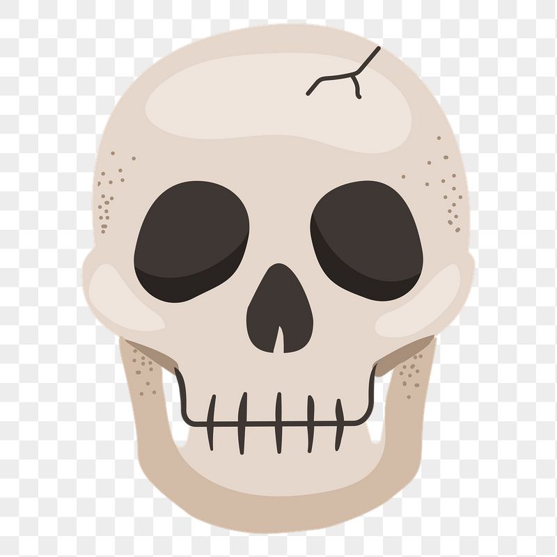 Skull png sticker, cute illustration, | Free PNG Illustration - rawpixel