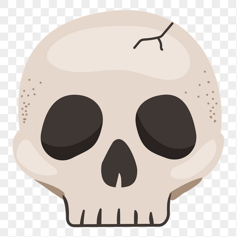Skull png sticker, cute illustration, | Free PNG Illustration - rawpixel