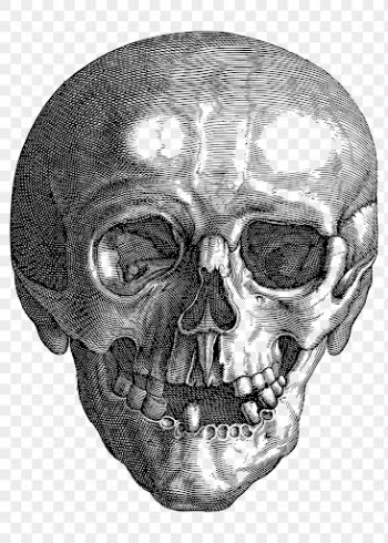 Skull png sticker, evil hand | Free PNG - rawpixel