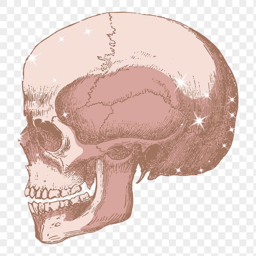 Skull png sticker, Halloween sparkly | Free PNG Illustration - rawpixel