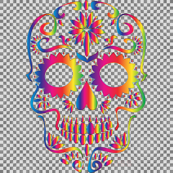 Skull, Product, Line, transparent png image & clipart free download